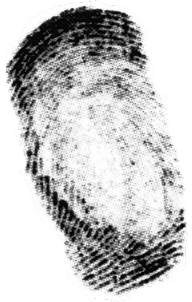 L middle