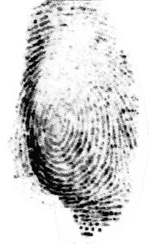 L pointer