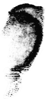 L middle